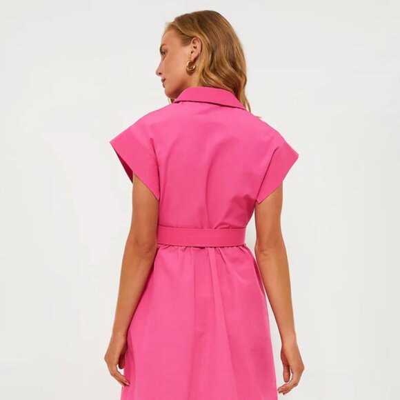 Tuckernuck Dresses & Skirts - Hot Pink Chloe Dress